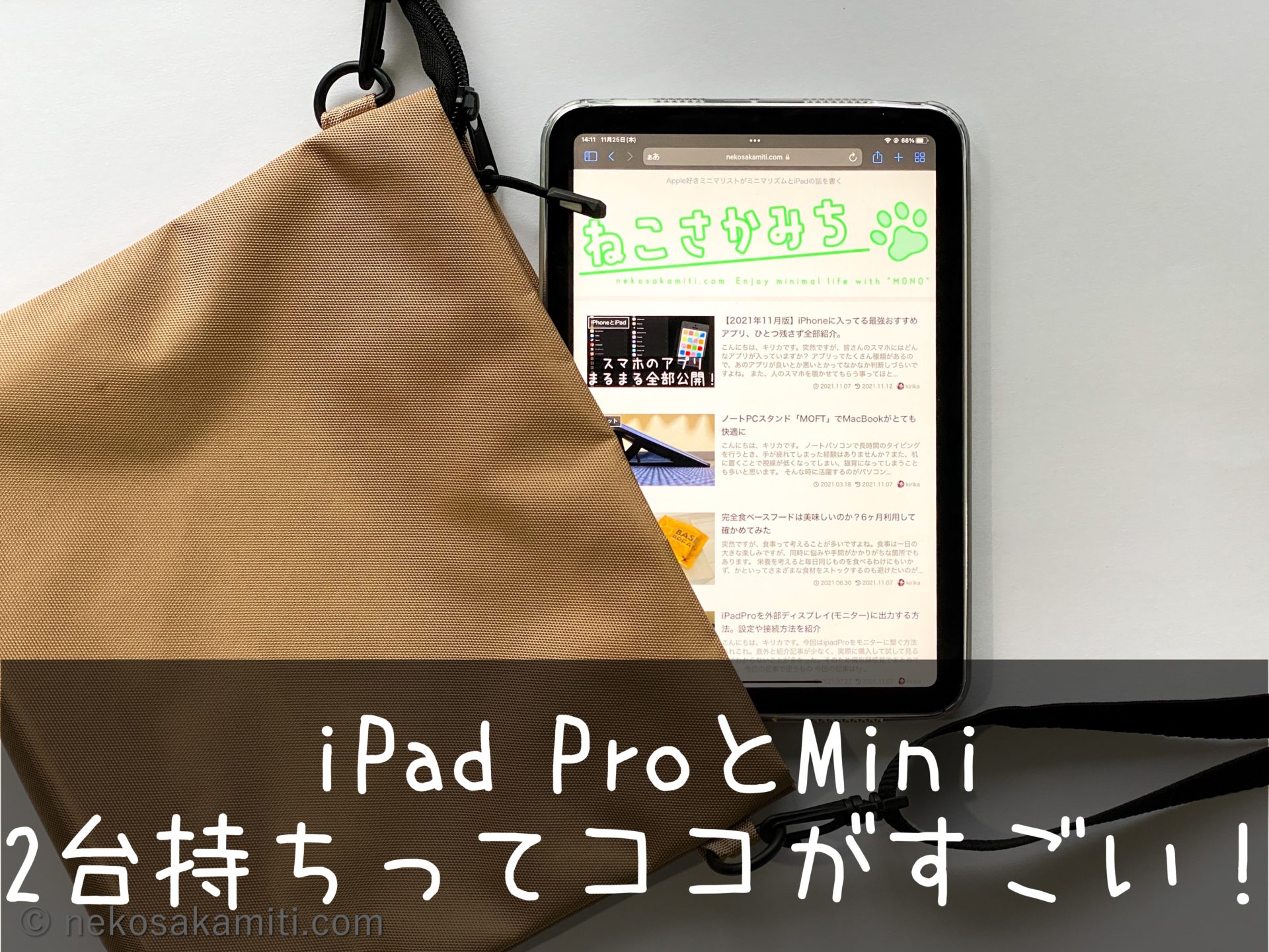 iPadProとiPadminiを2台持ち！違いや使い分けを紹介 | ねこさかみち